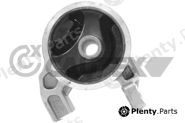 Cautex 772253 — Mounting, engine