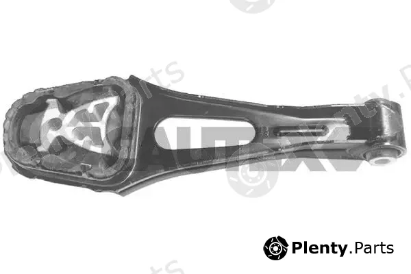 Cautex 770175 — Mounting, engine