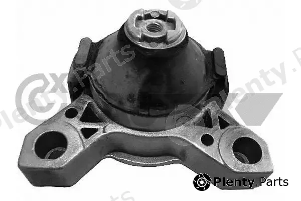 Cautex 081266 — Mounting, engine