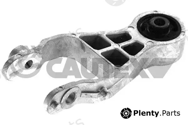 Cautex 482529 — Mounting, engine
