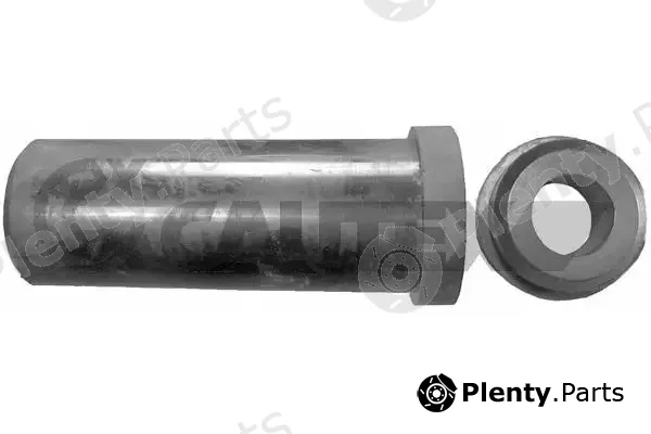Cautex 010101 — Leaf Spring Hanger