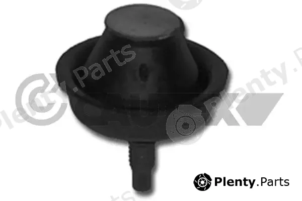Cautex 030302 — Mounting, engine