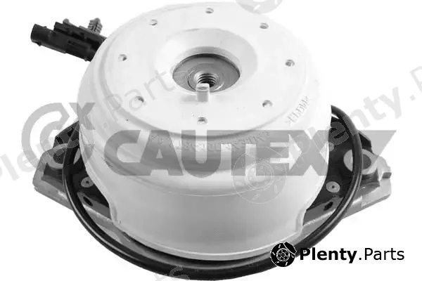 Cautex 753621 — Mounting, engine