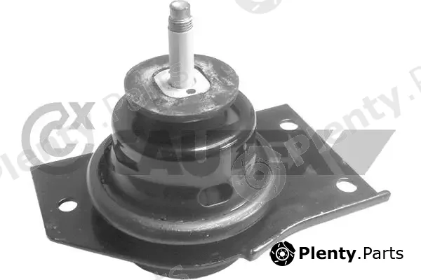 Cautex 769957 — Mounting, engine