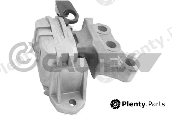 Cautex 760995 — Mounting, engine