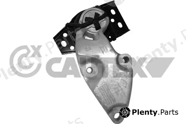 Cautex 759296 — Mounting, engine