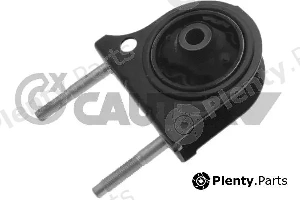 Cautex 772003 — Mounting, engine