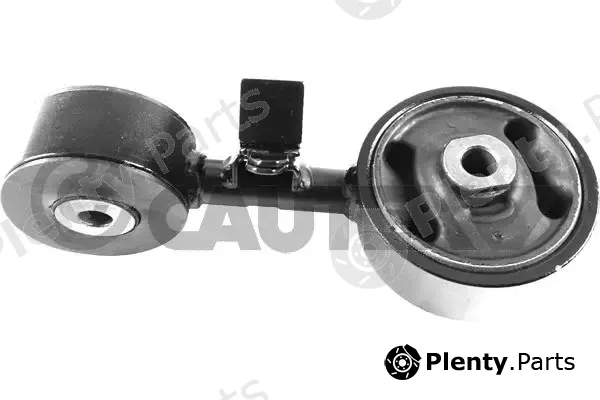 Cautex 760552 — Mounting, engine