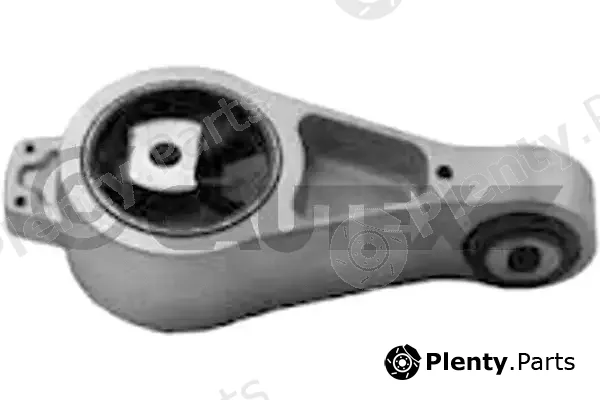 Cautex 766833 — Mounting, engine