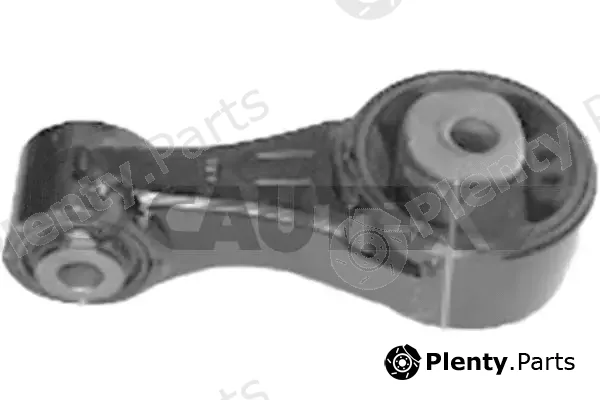 Cautex 760146 — Mounting, engine