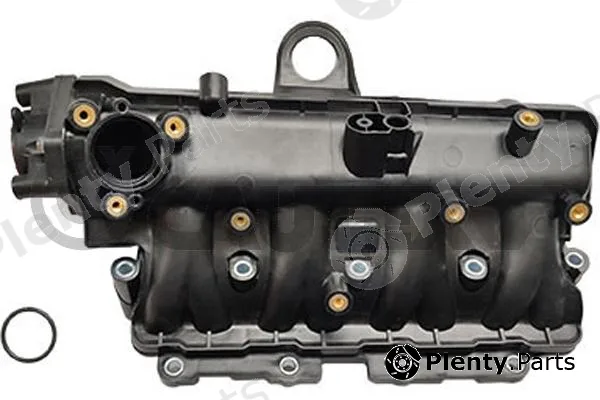 Cautex 772673 — Intake Manifold Module