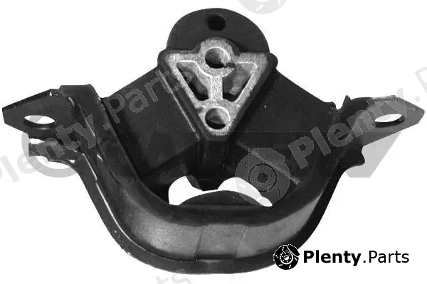 Cautex 480305 — Mounting, engine