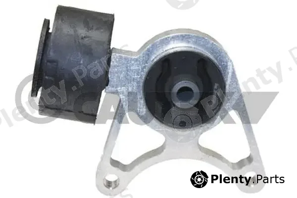 Cautex 759792 — Mounting, differential