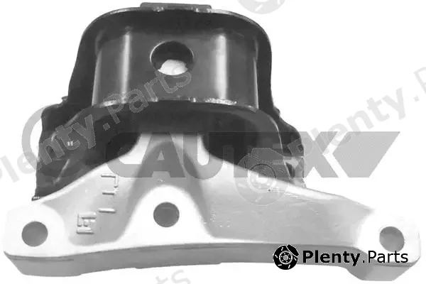 Cautex 756041 — Mounting, engine