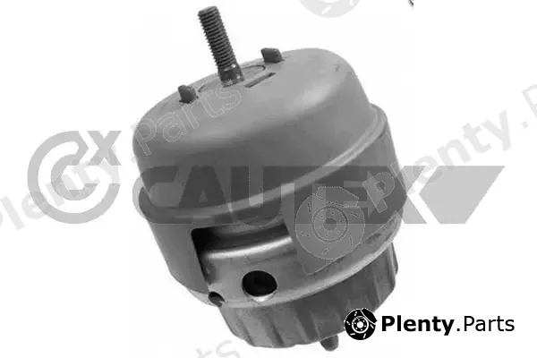 Cautex 756272 — Mounting, engine