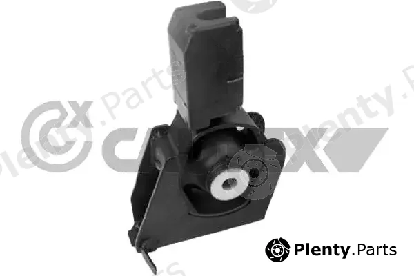 Cautex 761988 — Mounting, engine