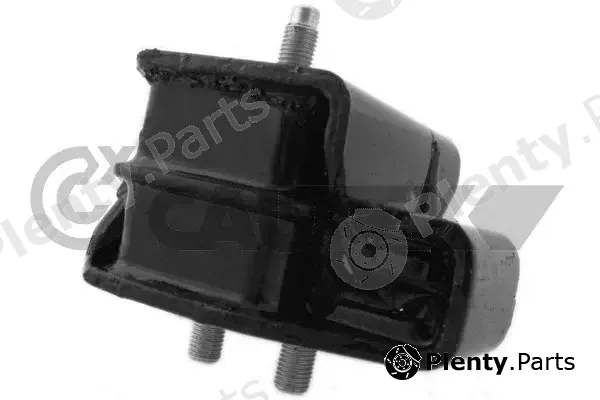 Cautex 766887 — Mounting, engine