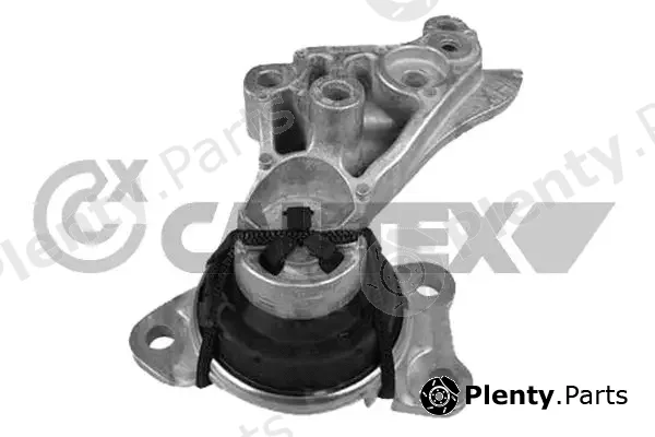 Cautex 770901 — Mounting, engine