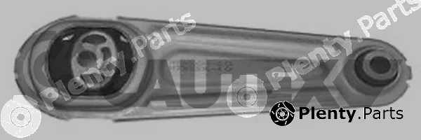 Cautex 021505 — Mounting, engine