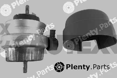 Cautex 753531 — Mounting, engine