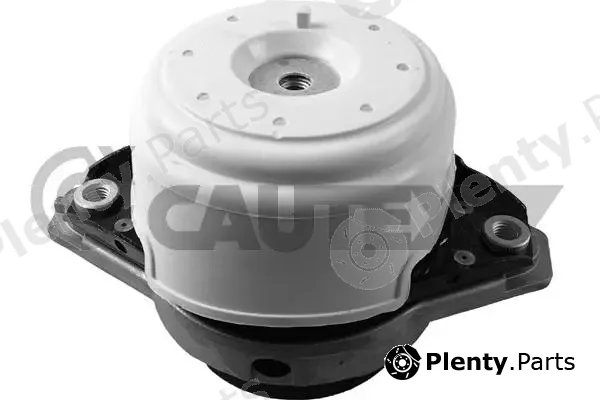 Cautex 760645 — Mounting, engine
