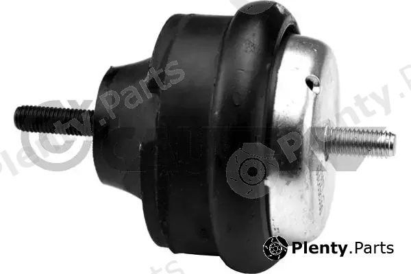 Cautex 030108 — Mounting, engine