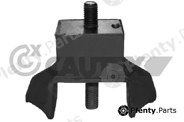 Cautex 030199 — Mounting, engine