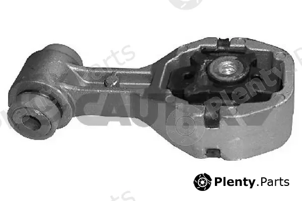 Cautex 020489 — Mounting, engine