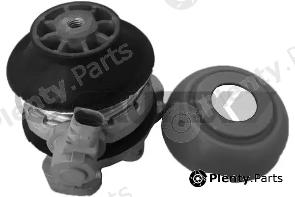 Cautex 756509 — Mounting, engine