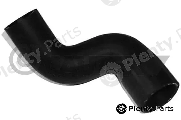 Cautex 486031 — Radiator Hose