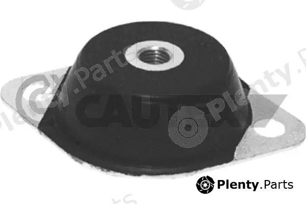 Cautex 769740 — Mounting, engine