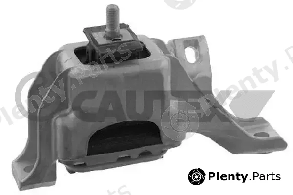 Cautex 756037 — Mounting, engine
