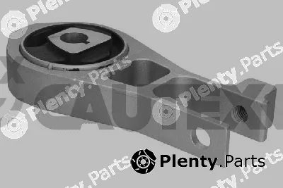 Cautex 769800 — Mounting, engine