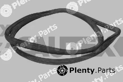 Cautex 012158 — Seal, windscreen