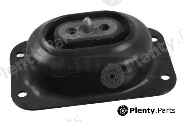 Cautex 776537 — Mounting, engine