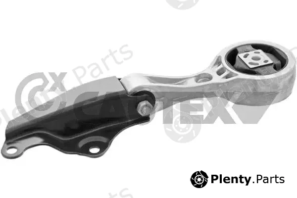 Cautex 769810 — Mounting, engine