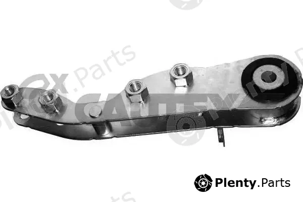 Cautex 756065 — Mounting, engine