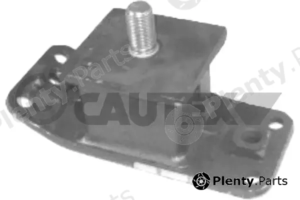 Cautex 766647 — Mounting, engine