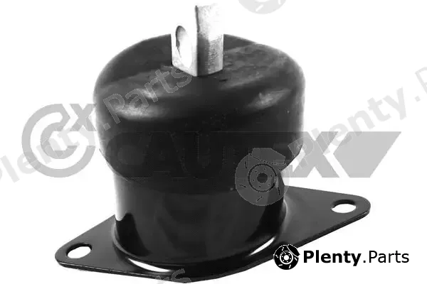 Cautex 756490 — Mounting, engine
