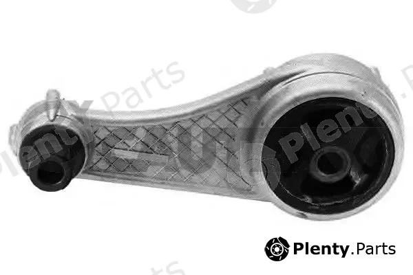 Cautex 020113 — Mounting, engine