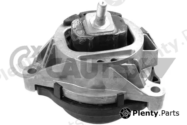 Cautex 759282 — Mounting, engine