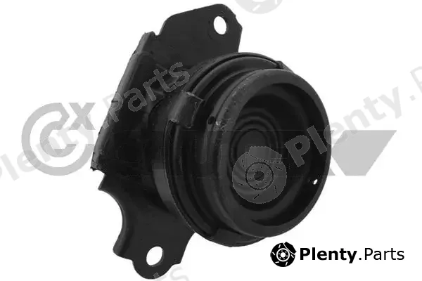 Cautex 756391 — Mounting, engine