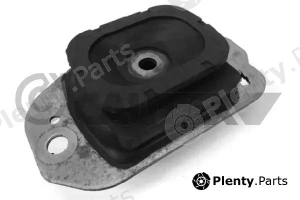 Cautex 756127 — Mounting, engine