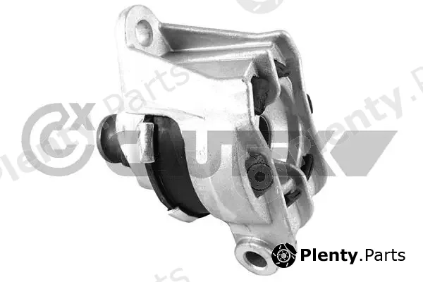 Cautex 756481 — Mounting, engine