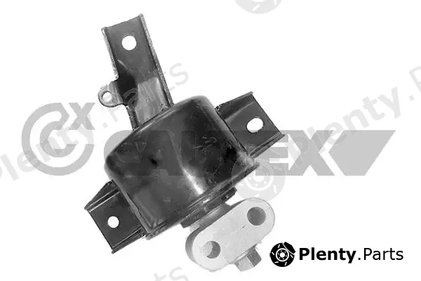 Cautex 770865 — Mounting, engine