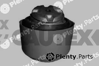 Cautex 774877 — Mounting, engine
