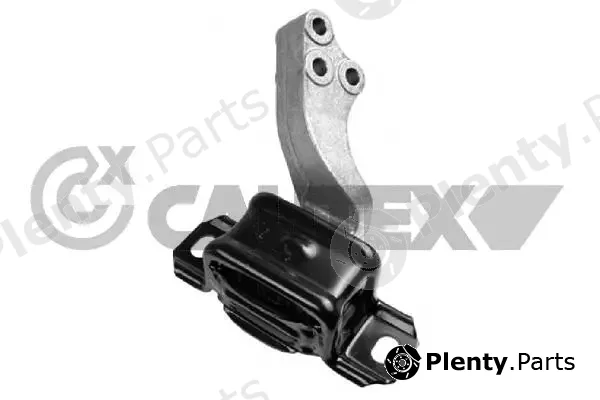Cautex 756168 — Mounting, engine
