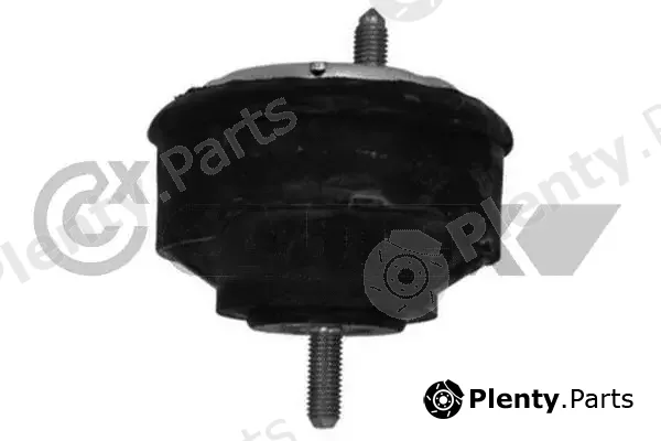 Cautex 759275 — Mounting, engine