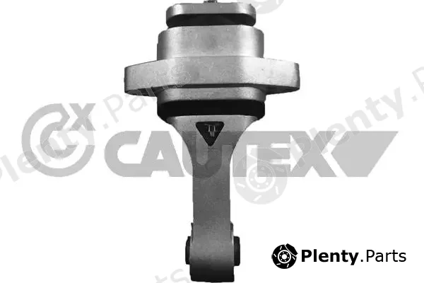 Cautex 758238 — Mounting, engine