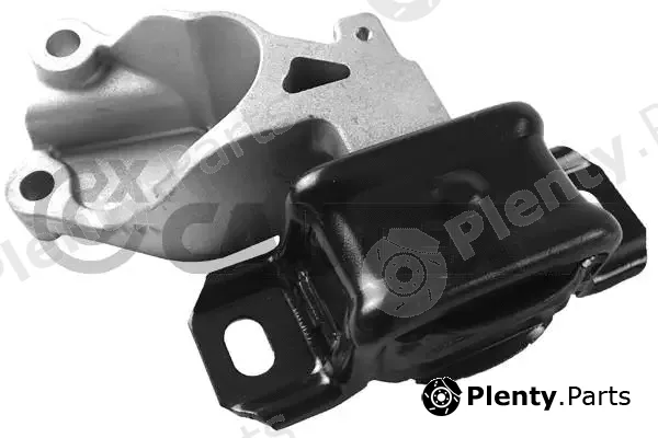 Cautex 756142 — Mounting, engine